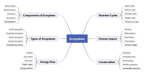 Environment Mind Map 的图像结果