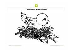 malvorlage vogel im nest ausmalbilder v 246 gel kostenlose ausmalbilder malvorlage vogel im nest ausmalbilder v 246 gel kostenlose ausmalbilder