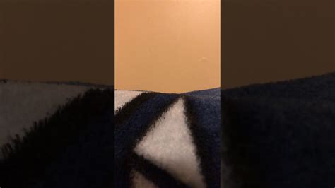 Image result for Pooping Song