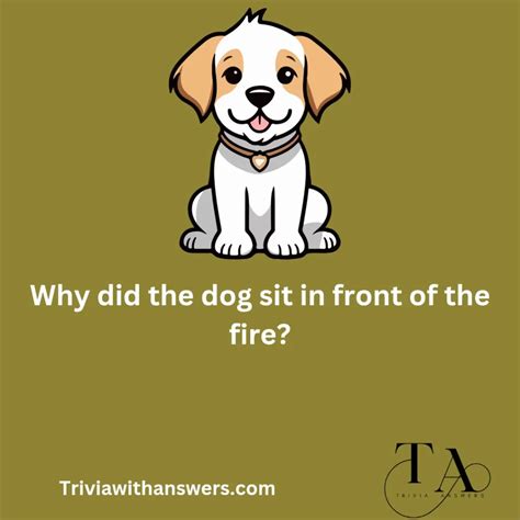 Dog Questions 的图像结果