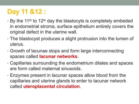 Image result for 2nd Week of Development