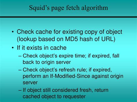 Image result for Squid Cache