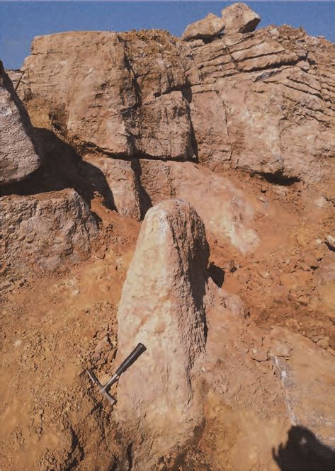 Image result for angular conformities