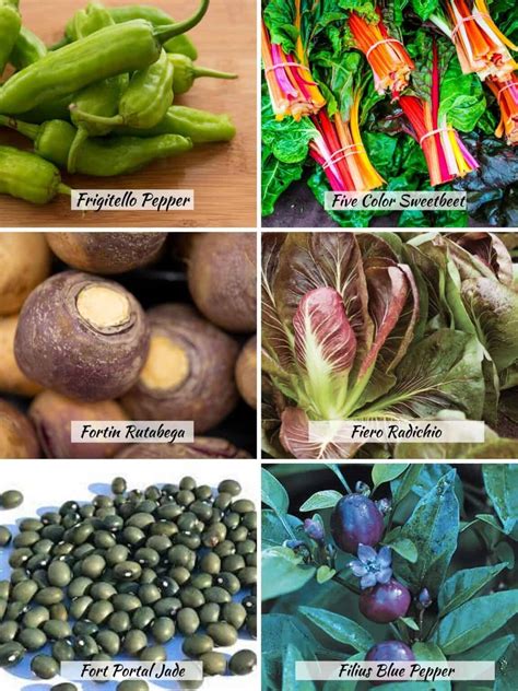 46 Vegetables that Start with F - Keeping the Peas
