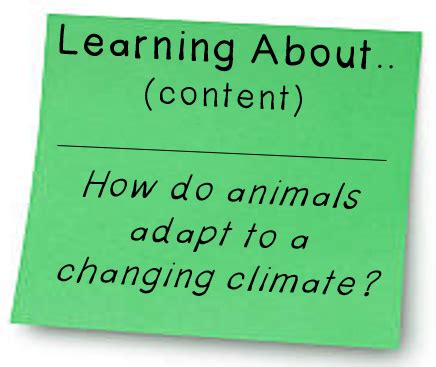 Image result for Learning Intentions and Refelction