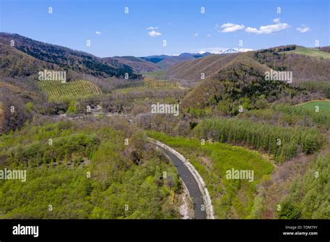 Image result for Aerial Spring