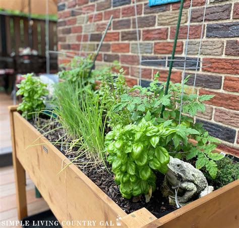 Living a Simple Life Today 的图像结果