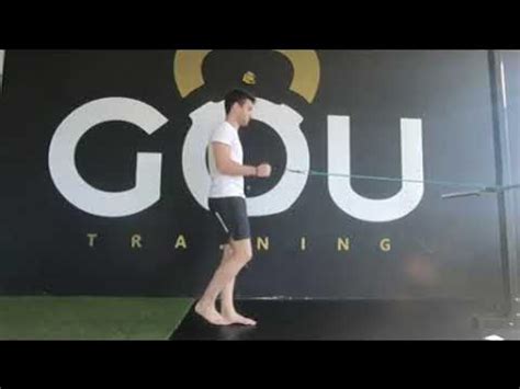 Image result for Contralateral Rows