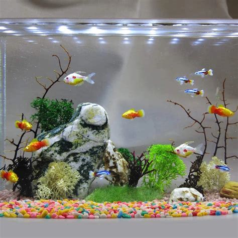 Fish Tank Decor Ideas – Intan Growel