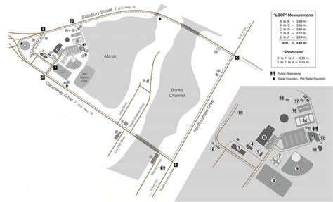 Image result for Map of Shell Island