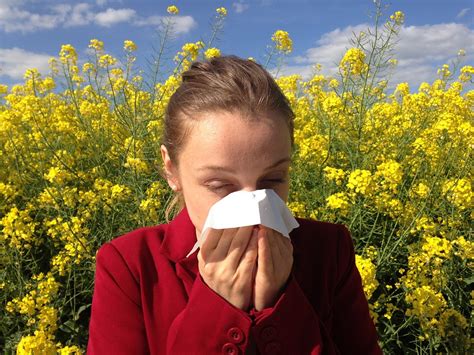 Pollen allergies, sinus, asthma and other nasal allergies: How to ...
