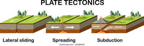 Three Types of Plate 的图像结果