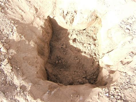 Dig Hole 的图像结果