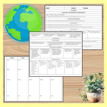 Second Grade Science Lesson 的图像结果