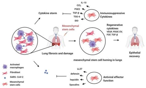 Emerging Prevention and Treatment Strategies to Control COVID-19