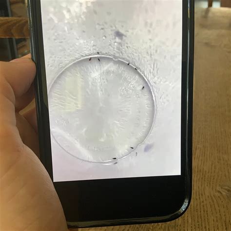 SWEET INN - WAGRAM (Paris) - Lodging Reviews, Photos, Rate Comparison ...