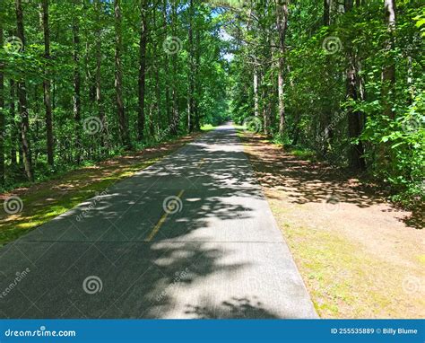 Paved Walking Trail Silver Comet Trail in Dallas Georgia Long Path ...