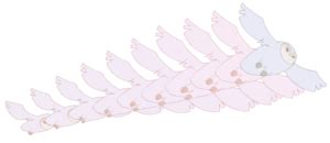 Morphing Objects Animation 的图像结果