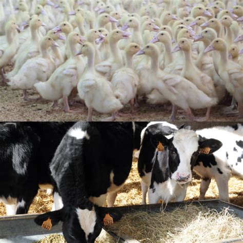 Higiene y Bioseguridad · Productos de Higiene y Bioseguridad ...