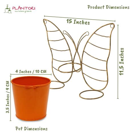 Hanging Planter for Wall