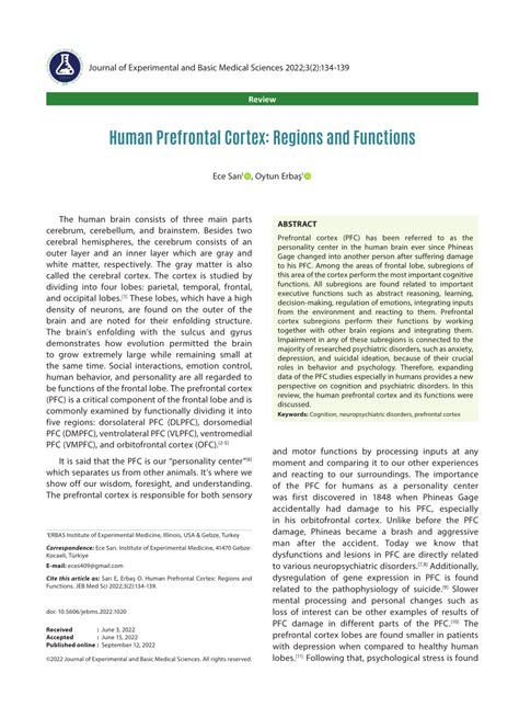 Image result for Prefrontal Cortex Functions