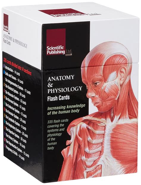 Anatomy Flash Cards Printable