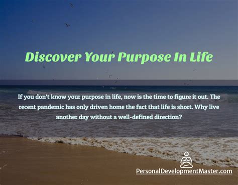 Personality Examples 的图像结果