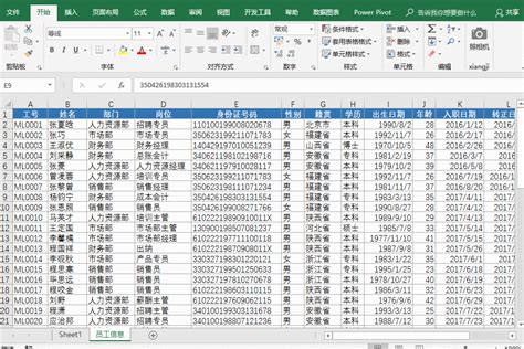 公司员工学历构成（2019年）_行行查_行业研究数据库