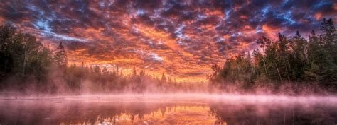 Image result for Dual Screen Desktop Monitor