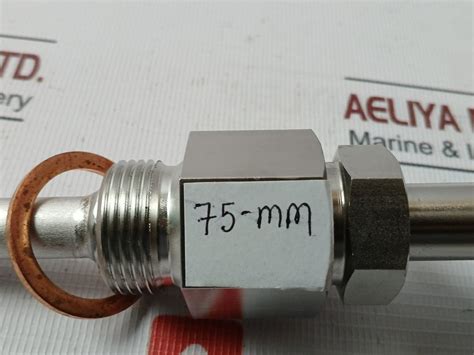 Daeyang Instrument Ttr-ln Resistance Bulb 75-mm Pt 100 Ω Class B ...