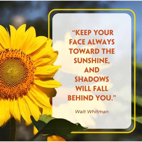 Apfel Wolfe Funeral Home Inc | Janesville WI