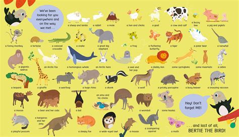 Usborne My First Lift-the-Flap Look and Find Animals – Pupilio
