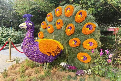 Garden Tourism Festival Begins In Delhi ! Tickets, Venue, Time