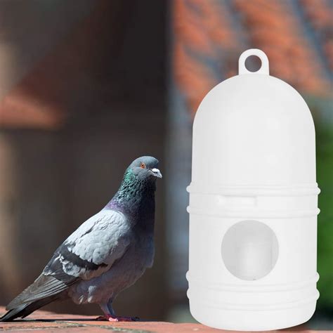 Buy POPETPOP Pigeon Water Dispenser- Parrot Automatic Feeder Waterer ...