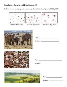 Population Density Distribution Model 的图像结果