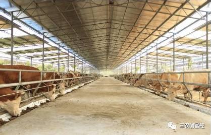 养牛场建设费用，建牛舍一平方米需要多少钱？