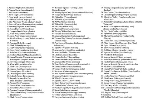 Fairview Cemetery - Level Two Accredited Arboretum