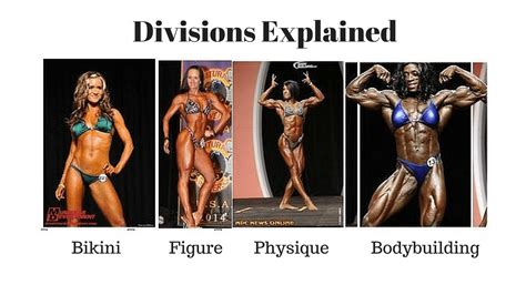 Types Of Bodybuilding Divisions at Karen Chase blog