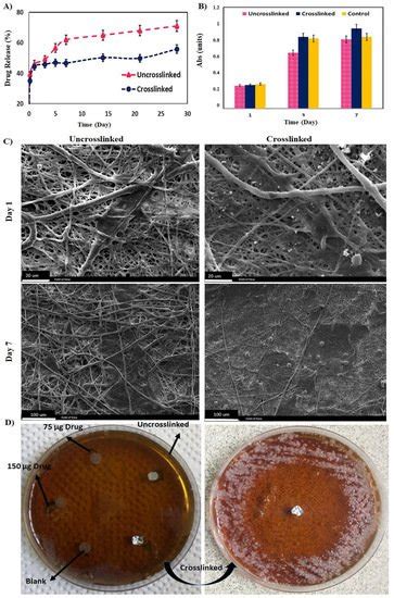 Cytocompatibility and Antibacterial Properties of Coaxial Electrospun ...