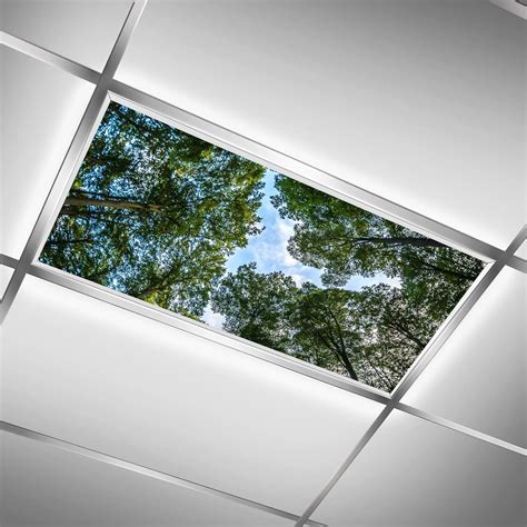 GVGHIDZ Fluorescent Light Covers for Classroom India | Ubuy