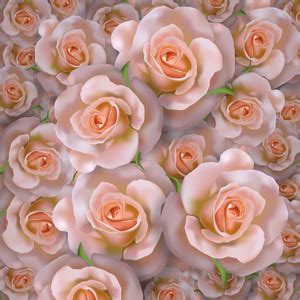 COLOR SOLUTION Floral & Botanical Multicolor Wallpaper Price in India ...