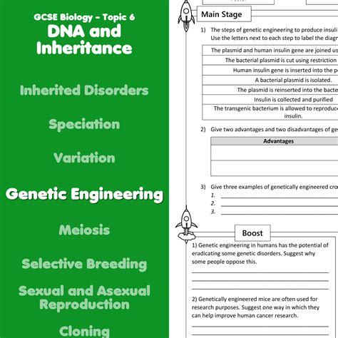 Basic Genetic Engineering GCSE Science OCR 的图像结果