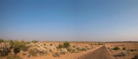 Desert National Park: Not So Deserted - slide15 | Nature inFocus