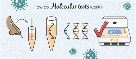 PCR Testing Definition 的图像结果