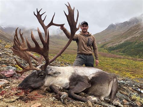 Horseback Barren Ground Caribou Hunt in the Alaska Range