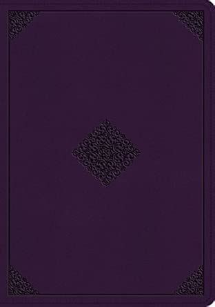 Buy ESV Study Bible Book Online at Low Prices in India | ESV Study ...