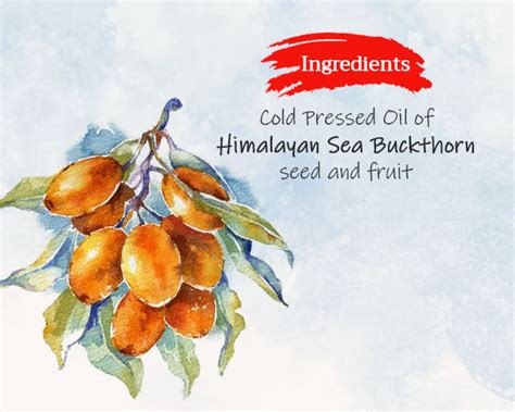 Tattvalogy Sea Buckthorn Oil - 100% Natural Cold Pressed Oil for Skin ...