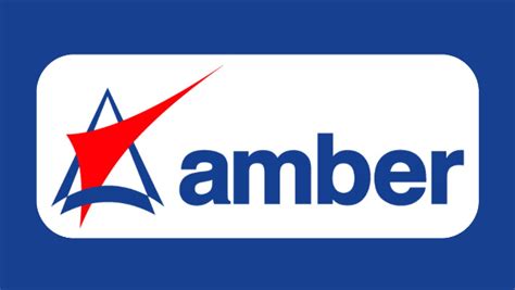 Amber Enterprises Shares Rebound After 14% Crash Post Q2 Earnings Miss ...