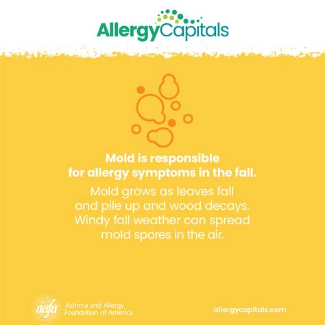 Mold Allergies Treatments