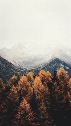 Aesthetic Fall Backgrounds Iphone by 15 Gorgeous Happy Fall Iphone X Wallpapers Preppy Wallpapers Aesthetic Fall Backgrounds Iphone